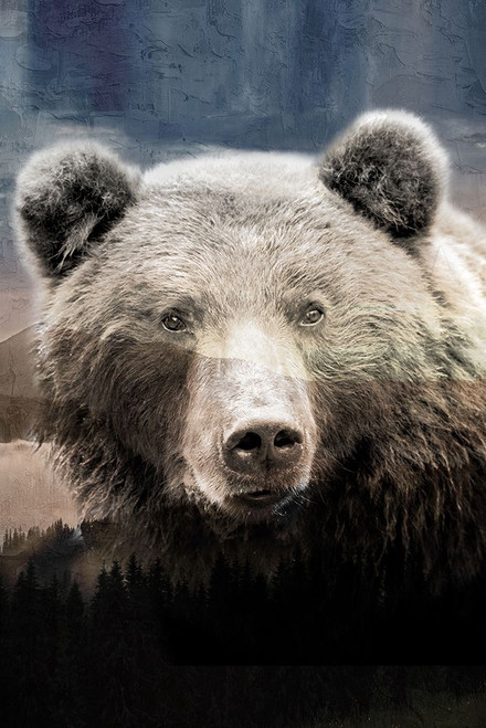 Bear Mountain Flag Poster Print - Kimberly Allen