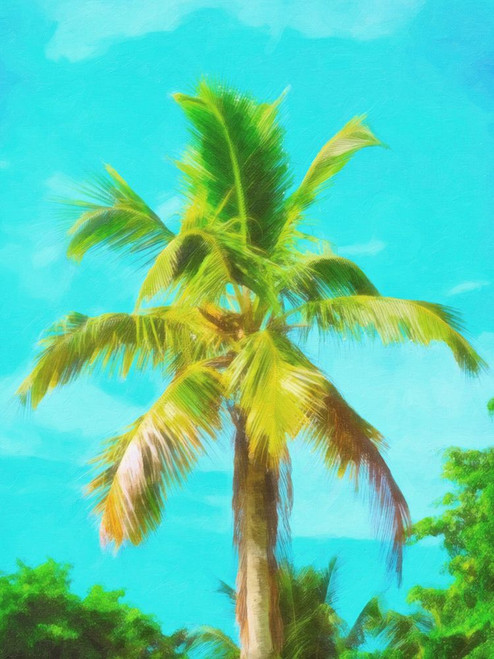Tropical Palm painted Poster Print - GST
