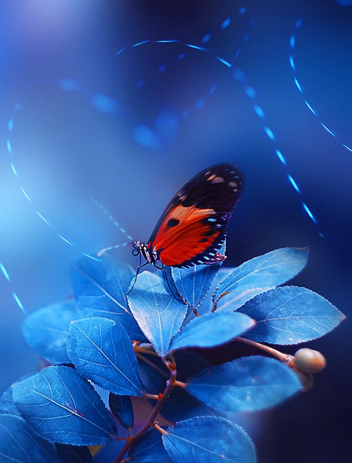 Neon Trails Poster Print - Grams Love