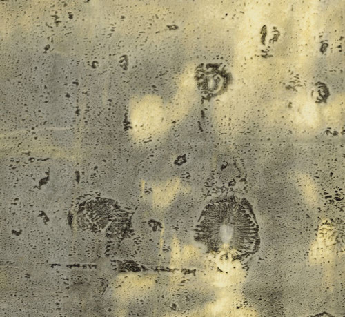 Relic-1R2 Poster Print - Melissa Renee