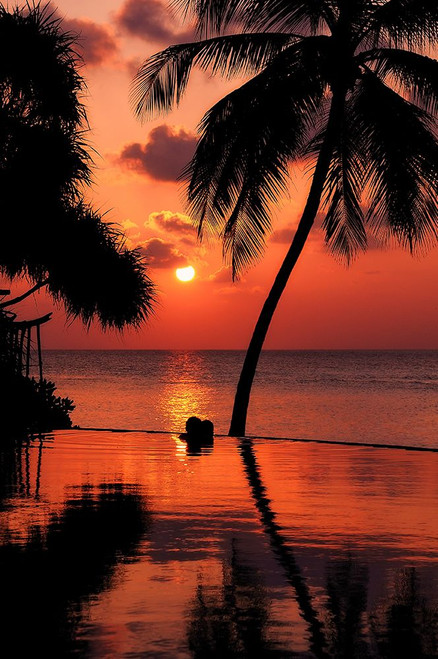 Maldives Dream Comes True 2 Poster Print - Rainbow Fine Jenny