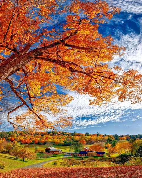 Sleepy Hollow Farm Vermont Autumn Poster Print - Lena Owens