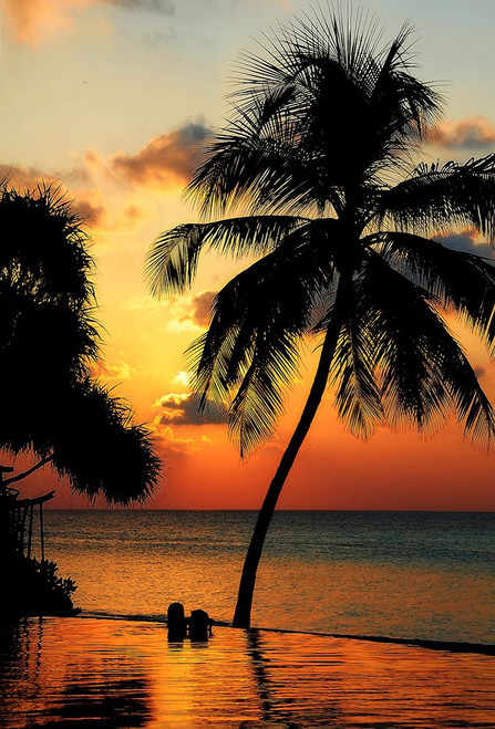 Maldives Dream Comes True 1 Poster Print - Rainbow Fine Jenny