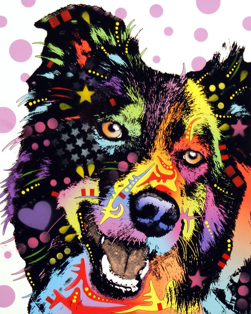Border Collie Poster Print - Russo Collection Dean