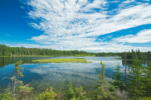 Canada-Ontario-Longlac. Clouds and wetland in a boreal forest. Poster Print - Gallery Jaynes