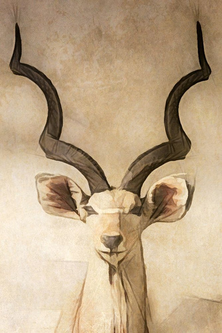 Parchment Longhorned Deer Poster Print - GST
