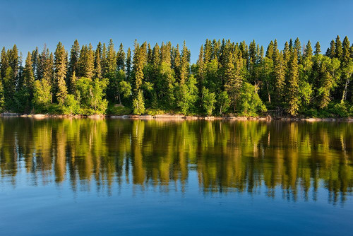 Canada- Manitoba- Paint Lake Provincial Park. Forest reflections on Paint Lake. Poster Print - Gallery Jaynes