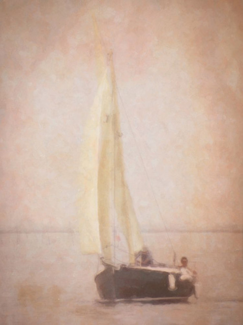 Sailing in Venice Poster Print - GST