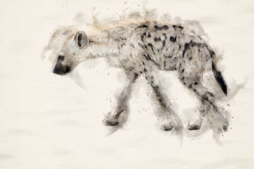 Abstract African Hiena Watercolor Art Poster Print - Toit Arno Du