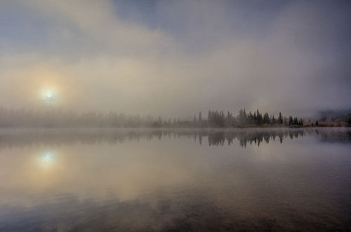 One Misty Morning Poster Print - Bill Sherrell