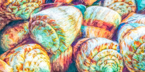 Paint Weave Aqua and Coral Cone Shells Poster Print - GST