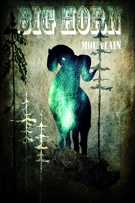 Wind River II Poster Print - LightBoxJournal