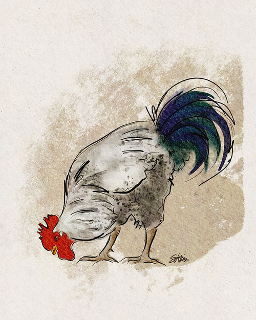 Scratch Poster Print - Shanda Louis