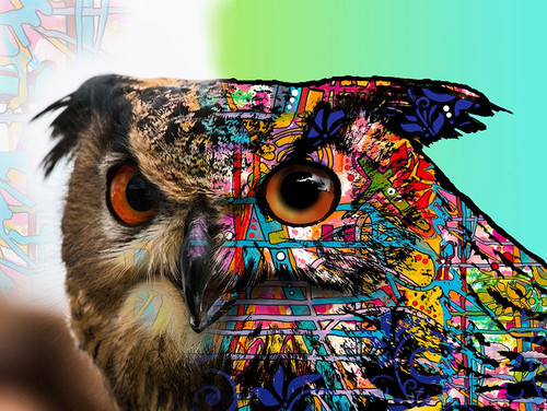 Exposed Owl Poster Print - Russo Collection Dean