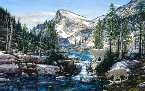 Summer In The Enchantments Poster Print - Jeff Tift