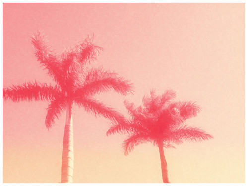 Palm Trees in Pink Poster Print - GST