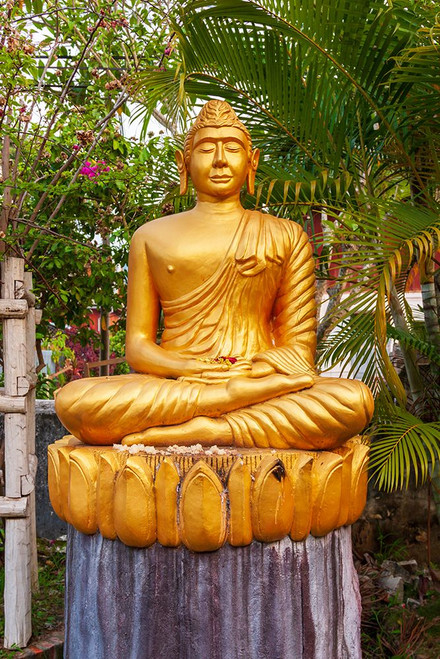 Laos- Luang Prabang. Golden Buddha statue with elongated earlobes. Poster Print - Tom Haseltine