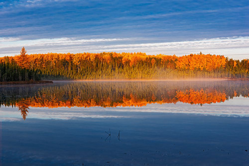Canada- Manitoba- Duck Mountain Provincial Park. Morning fog on lake in autumn. Poster Print - Gallery Jaynes