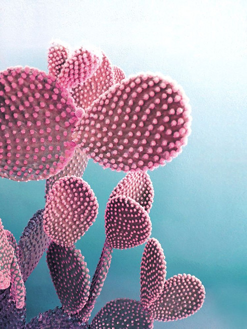 Candy Cactus Poster Print - Emanuela Carratoni