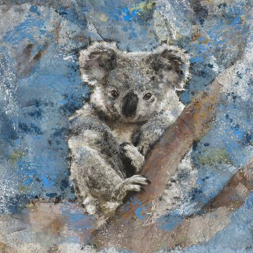 Koala II Poster Print - Marta Wiley