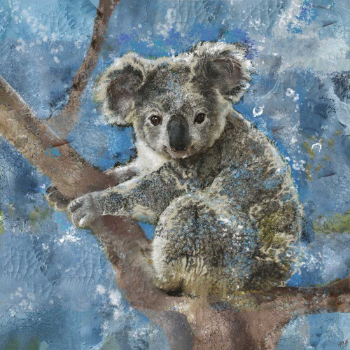 Koala I Poster Print - Marta Wiley