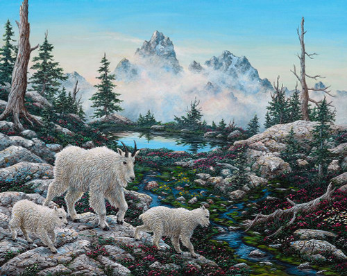 Alpine Country Poster Print - Jeff Tift