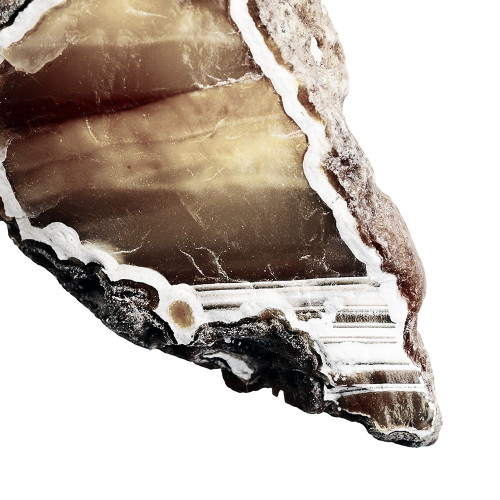 Earth Agate B Poster Print - Studio SEA