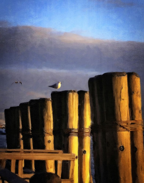 Battery Park Pier Poster Print - GST