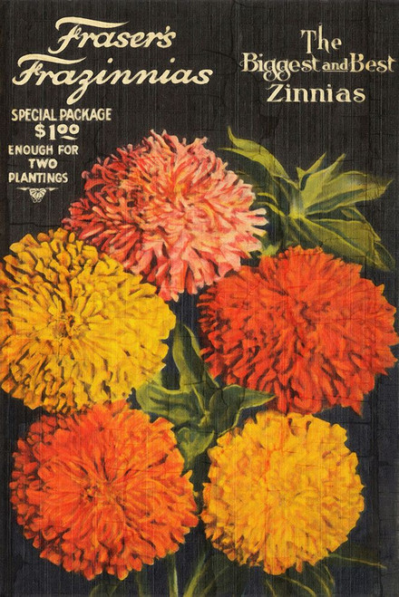 Biggest and Best Zinnias Poster Print - GST