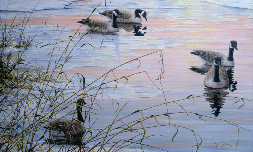 Sunset Serenity Poster Print - Jeff Tift