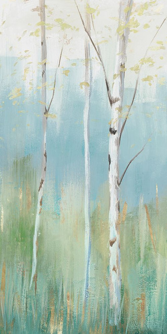 Birch Harmonies I Poster Print - C Ian