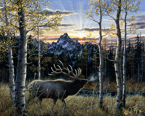 Dawn Of Light Poster Print - Jeff Tift