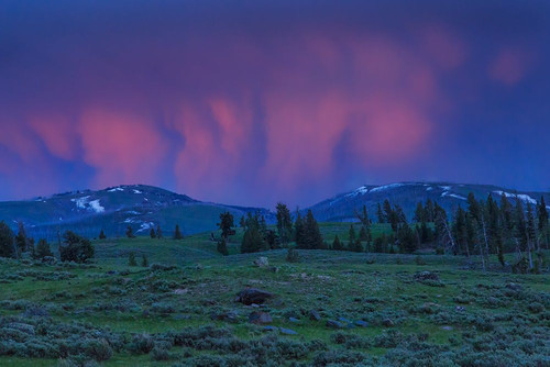 YNP Sunset Poster Print - Online Galloimages