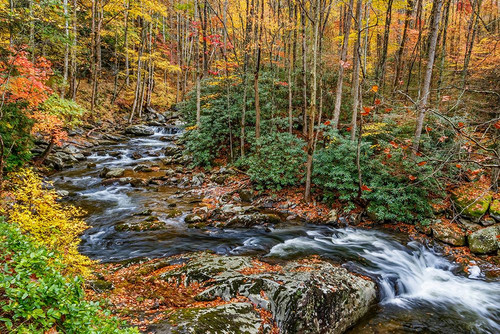 Tremont Stream Poster Print - Online Galloimages