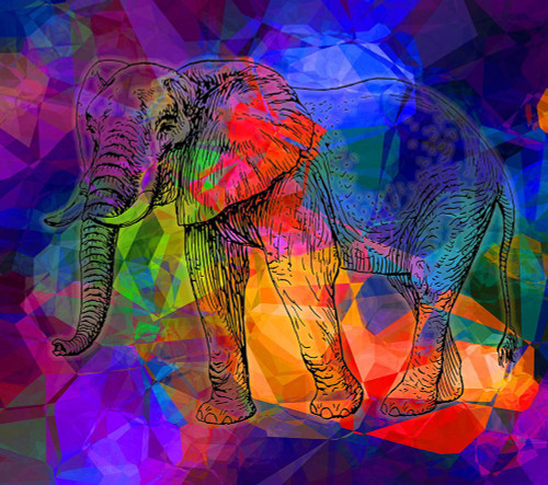 Elephant Dream Poster Print - Jamie Phillip