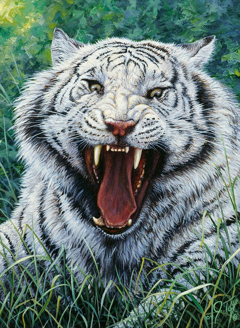 White Tiger 2 Poster Print - Jeff Tift