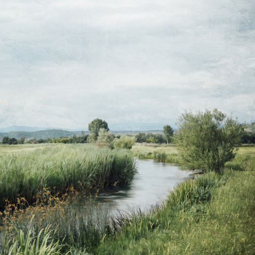 Upstream Poster Print - Kimberly Allen