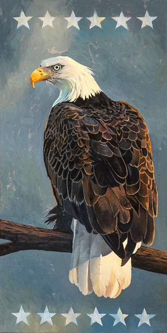 Bald Eagle Poster Print - Max Hayslette