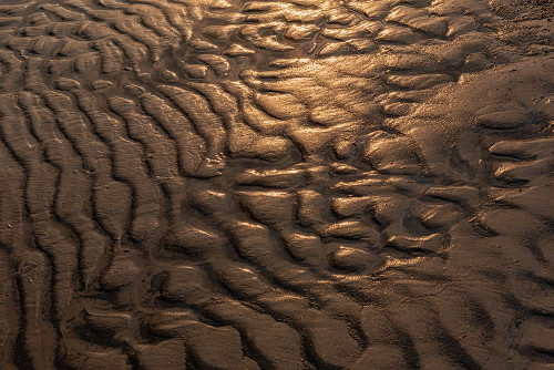 Canada- Manitoba- Winnipeg. Wave patterns on sandy beach of Lake Winnipeg. Poster Print - Gallery Jaynes