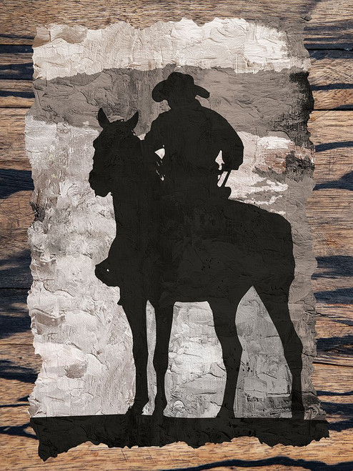 On the Range 3 Poster Print - Kimberly Allen