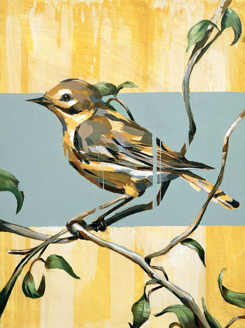 Warbler C Poster Print - Frank Gonzales