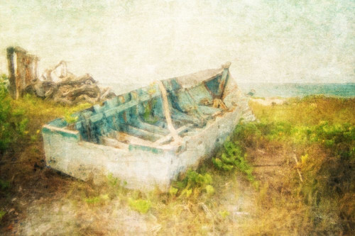 Galapagos Washashore Poster Print - GST