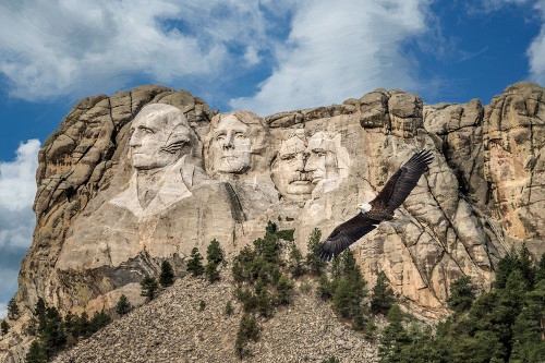 Mount Rushmore And Eagle Poster Print - Online Galloimages