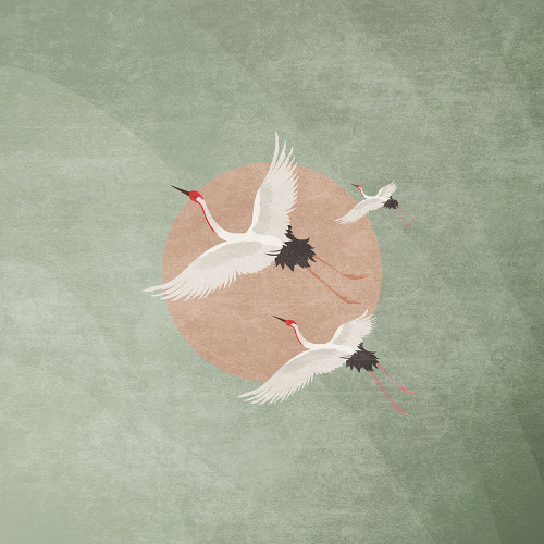 Turnalar Yosun Yesili Poster Print - Emel Tunaboylu