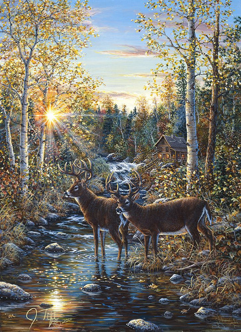 Whitetail Deer Poster Print - Jeff Tift