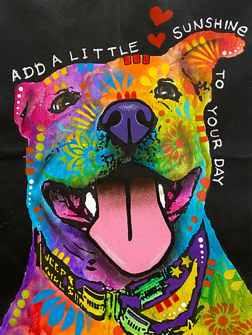 Photo Mar 11-7 59 04 PM Poster Print - Russo Collection Dean