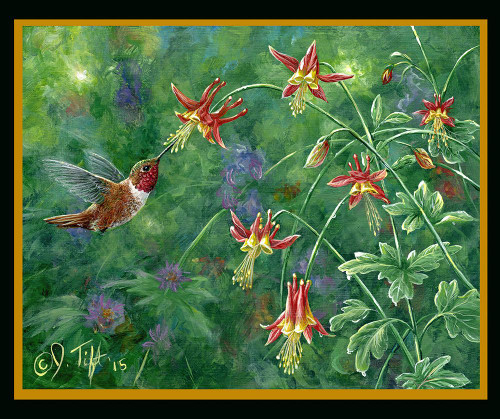 Rufous Hummingbird Poster Print - Jeff Tift