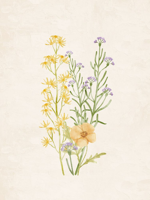 Wildflowers 2 Poster Print - Kimberly Allen