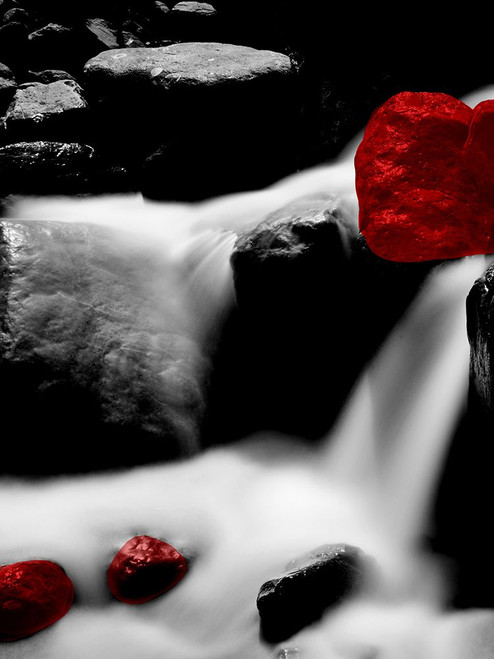 Red Rocks River 1 Poster Print - Jamie Phillip