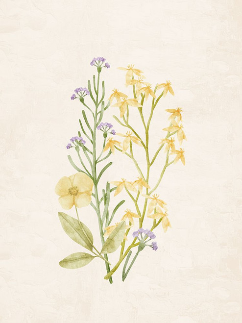 Wildflowers 1 Poster Print - Kimberly Allen